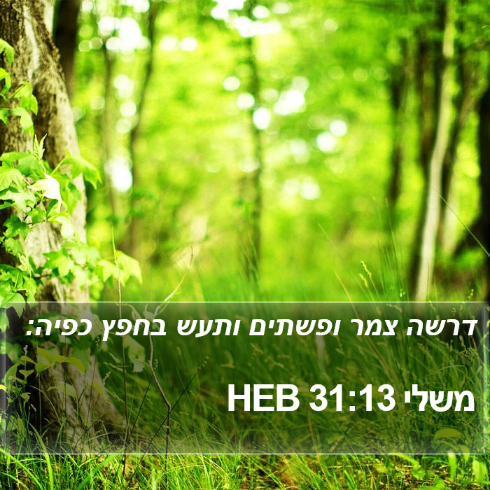 משלי 31:13 HEB Bible Study