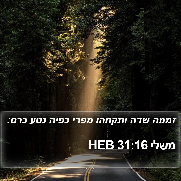 משלי 31:16 HEB Bible Study