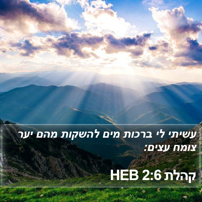 קהלת 2:6 HEB Bible Study