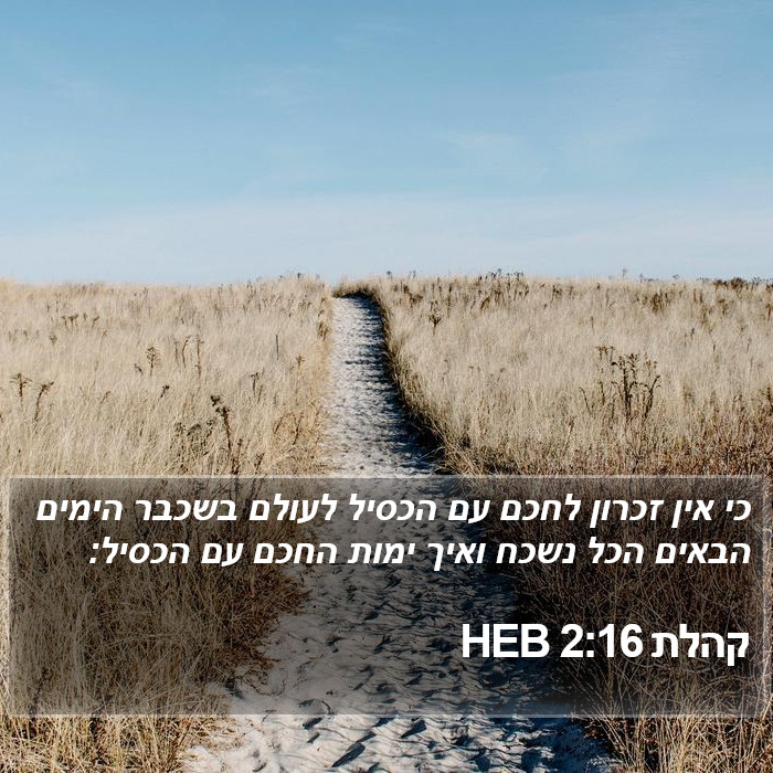 קהלת 2:16 HEB Bible Study