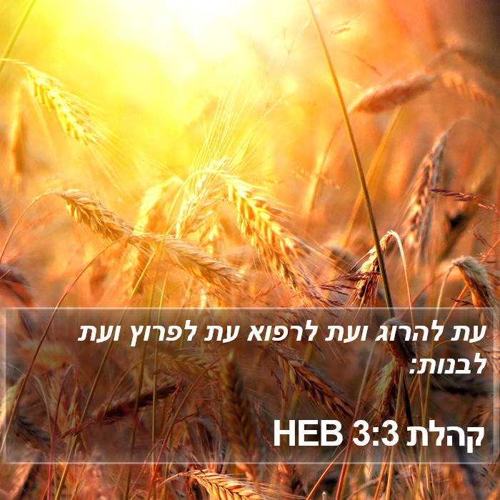 קהלת 3:3 HEB Bible Study