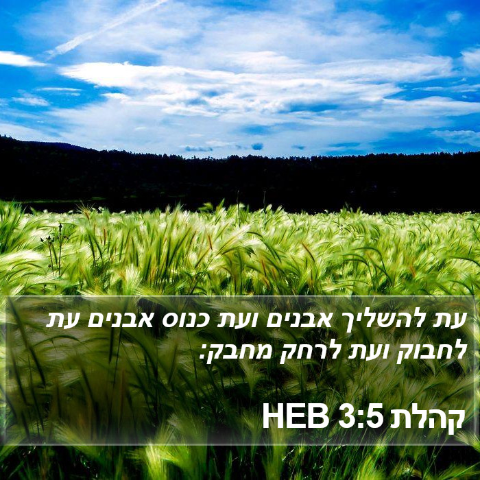 קהלת 3:5 HEB Bible Study