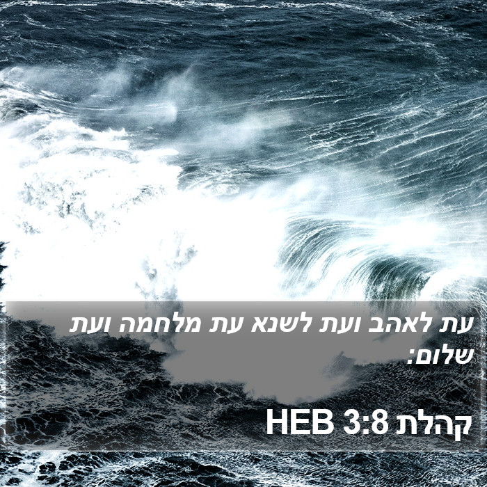 קהלת 3:8 HEB Bible Study