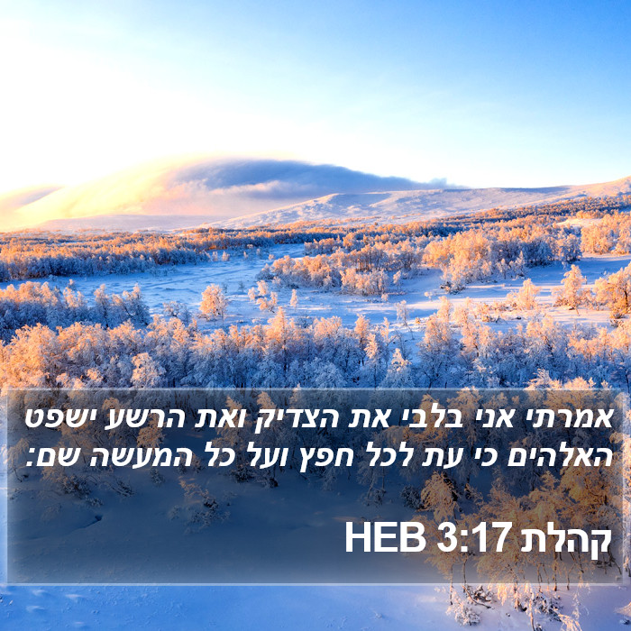 קהלת 3:17 HEB Bible Study