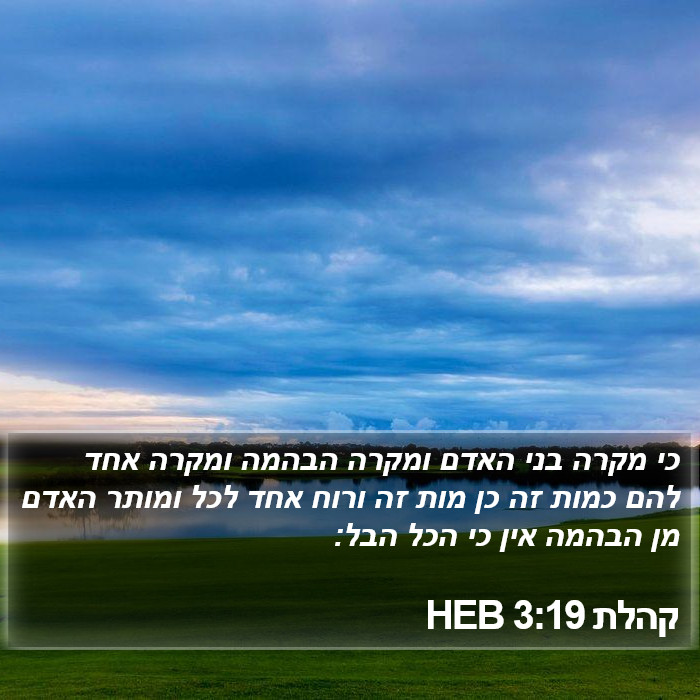 קהלת 3:19 HEB Bible Study