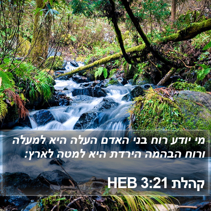 קהלת 3:21 HEB Bible Study