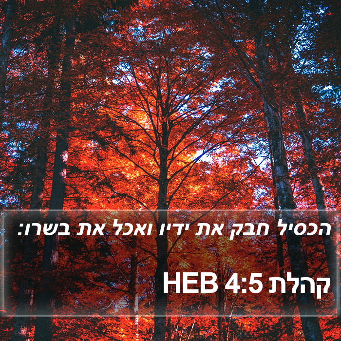 קהלת 4:5 HEB Bible Study