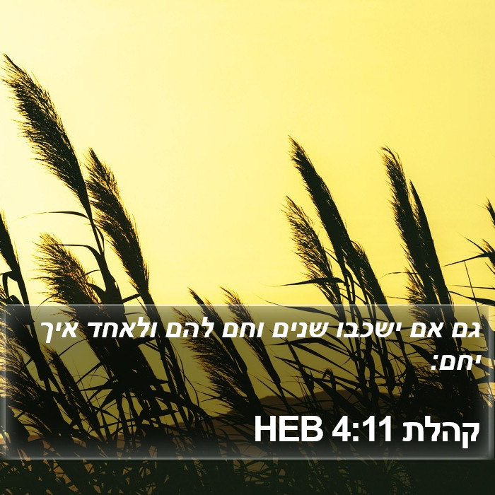 קהלת 4:11 HEB Bible Study