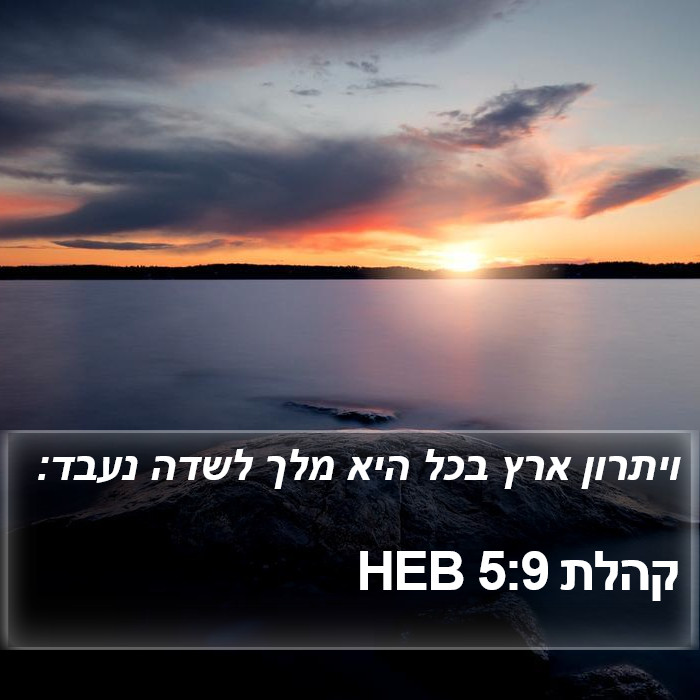 קהלת 5:9 HEB Bible Study