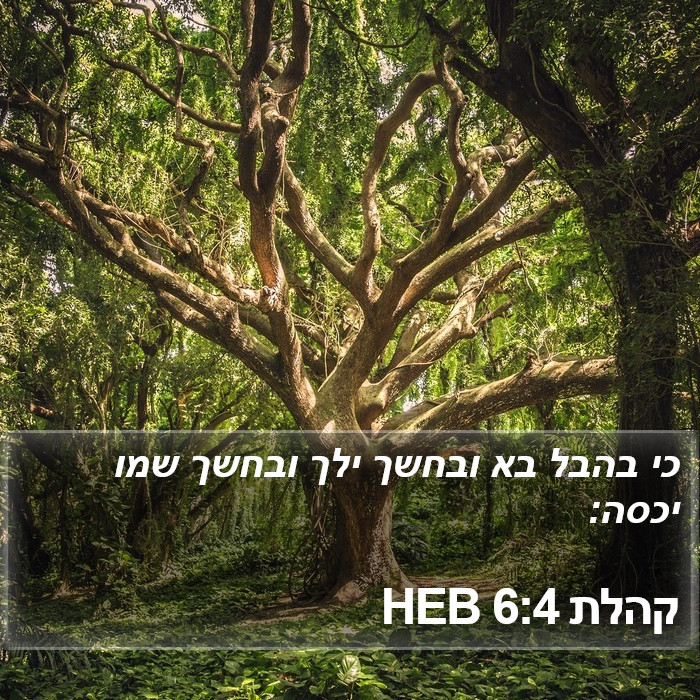 קהלת 6:4 HEB Bible Study