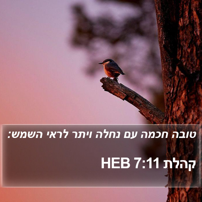 קהלת 7:11 HEB Bible Study