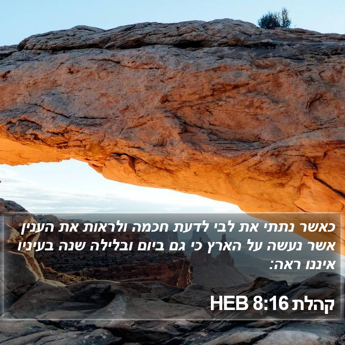 קהלת 8:16 HEB Bible Study