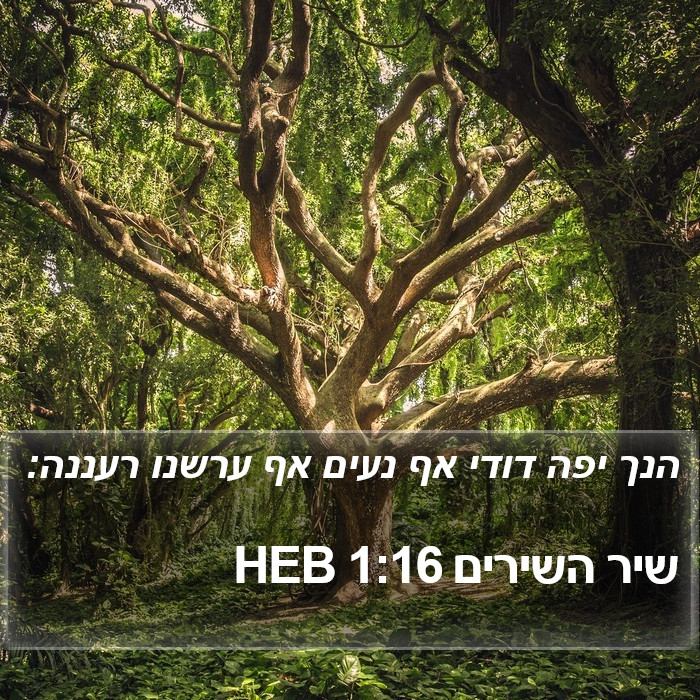 שיר השירים 1:16 HEB Bible Study