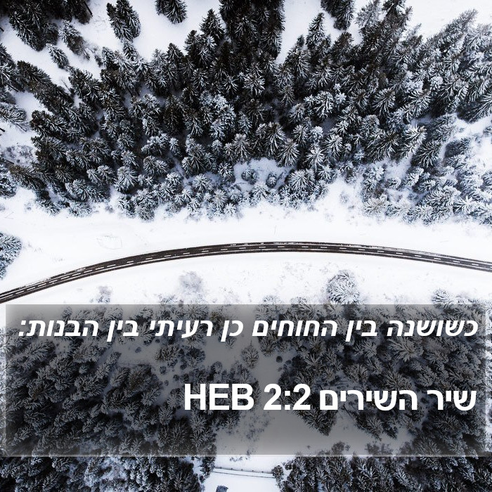 שיר השירים 2:2 HEB Bible Study