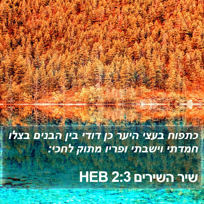 שיר השירים 2:3 HEB Bible Study