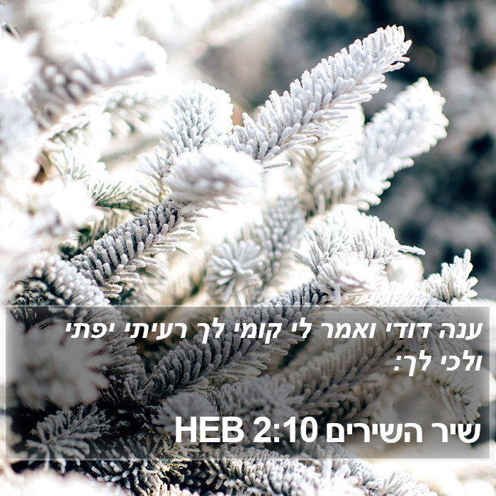 שיר השירים 2:10 HEB Bible Study