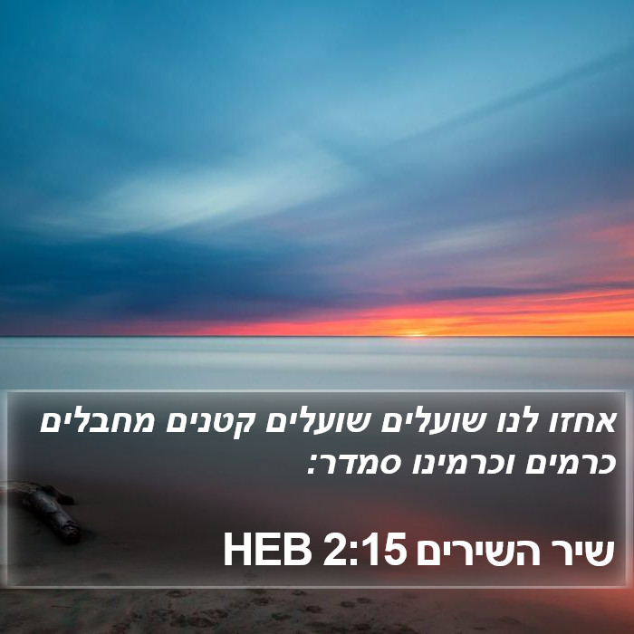 שיר השירים 2:15 HEB Bible Study