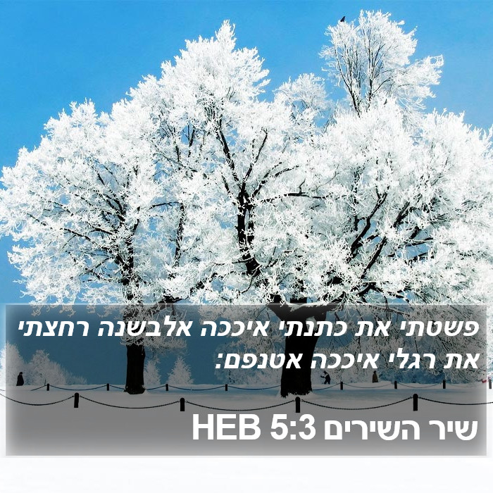 שיר השירים 5:3 HEB Bible Study