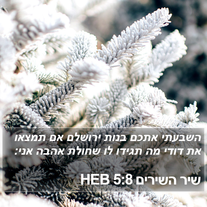 שיר השירים 5:8 HEB Bible Study