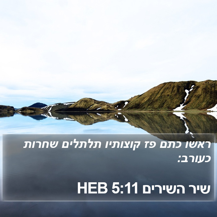 שיר השירים 5:11 HEB Bible Study