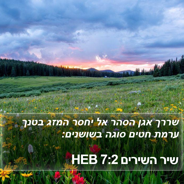 שיר השירים 7:2 HEB Bible Study