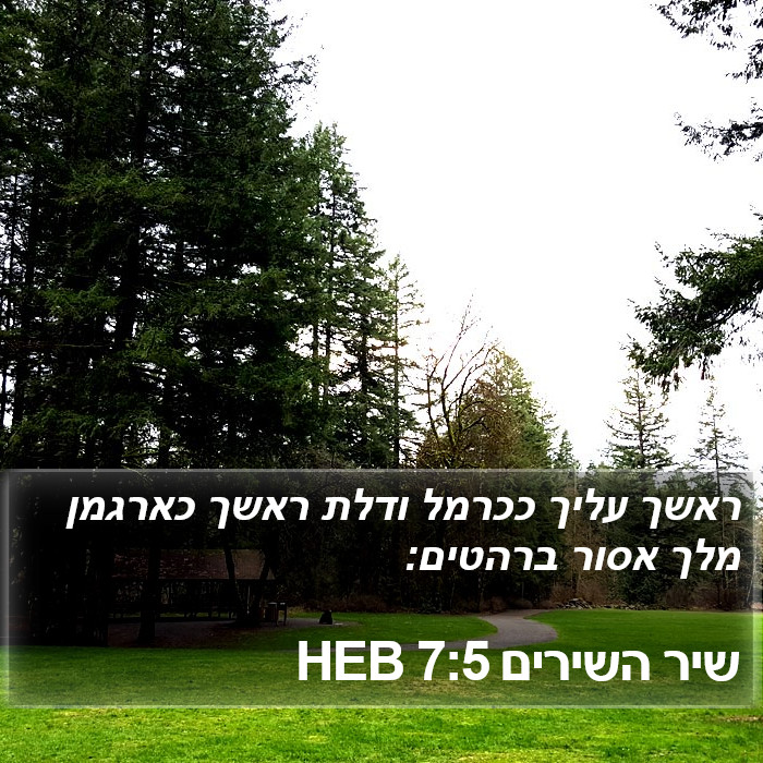 שיר השירים 7:5 HEB Bible Study