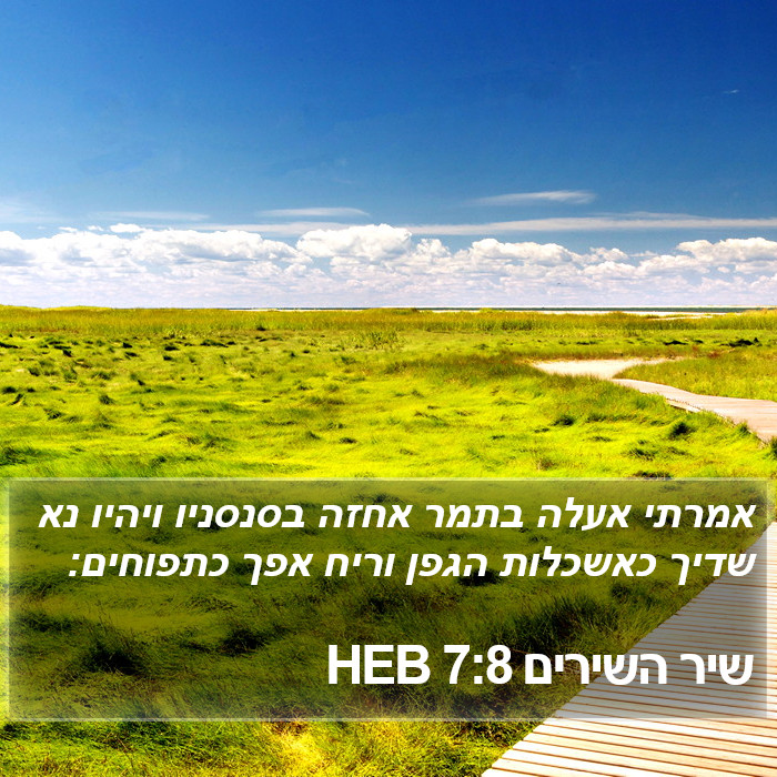 שיר השירים 7:8 HEB Bible Study