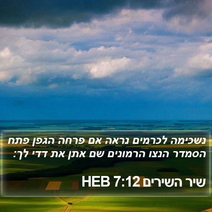 שיר השירים 7:12 HEB Bible Study