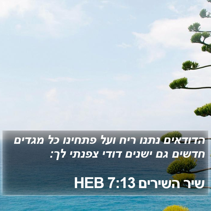 שיר השירים 7:13 HEB Bible Study