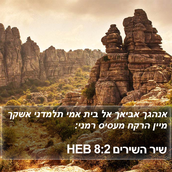 שיר השירים 8:2 HEB Bible Study