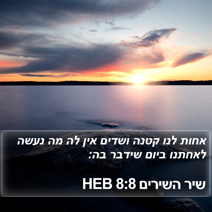 שיר השירים 8:8 HEB Bible Study