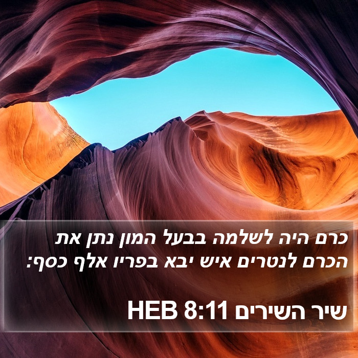 שיר השירים 8:11 HEB Bible Study