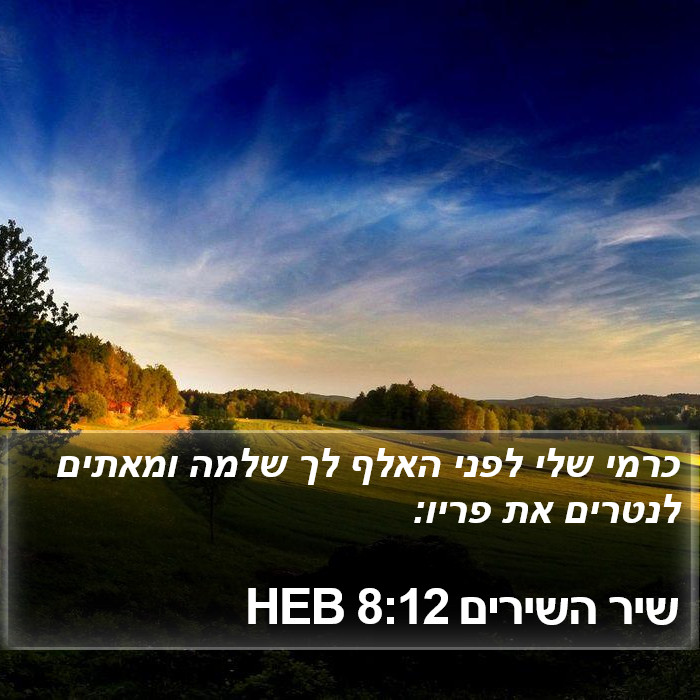 שיר השירים 8:12 HEB Bible Study