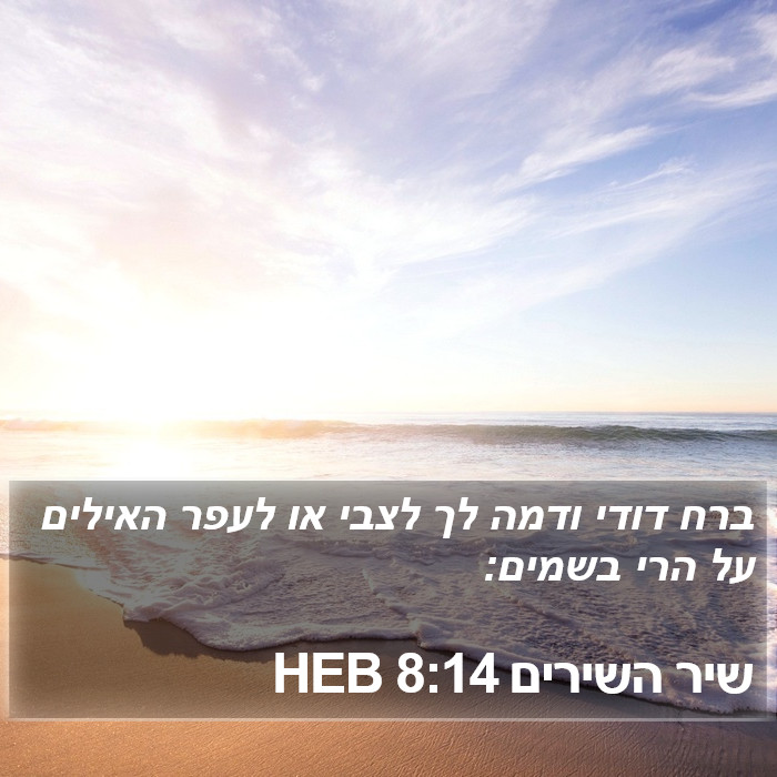 שיר השירים 8:14 HEB Bible Study