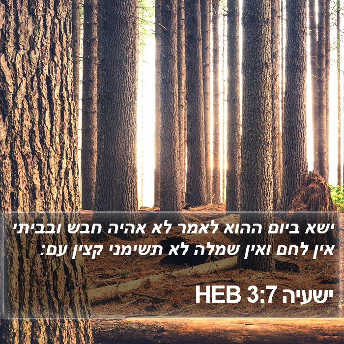 ישעיה 3:7 HEB Bible Study