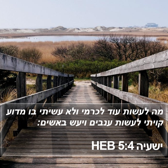 ישעיה 5:4 HEB Bible Study