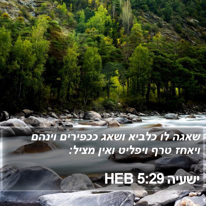 ישעיה 5:29 HEB Bible Study