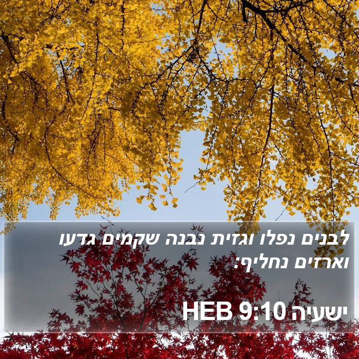 ישעיה 9:10 HEB Bible Study