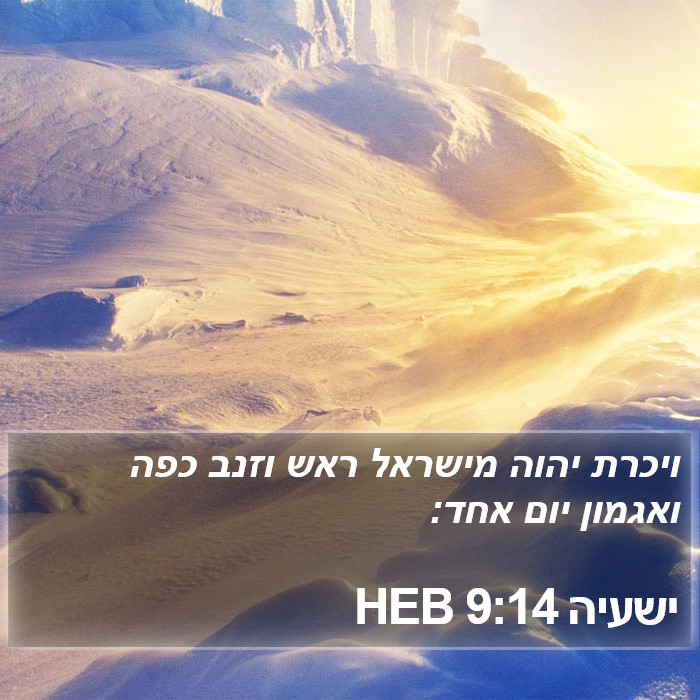 ישעיה 9:14 HEB Bible Study