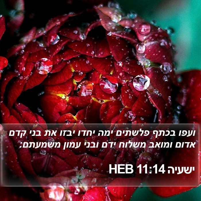 ישעיה 11:14 HEB Bible Study