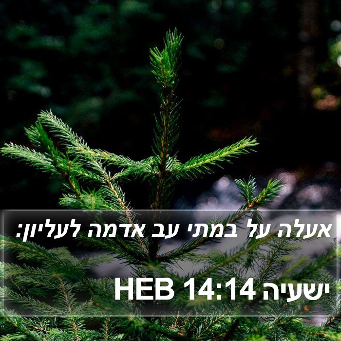 ישעיה 14:14 HEB Bible Study