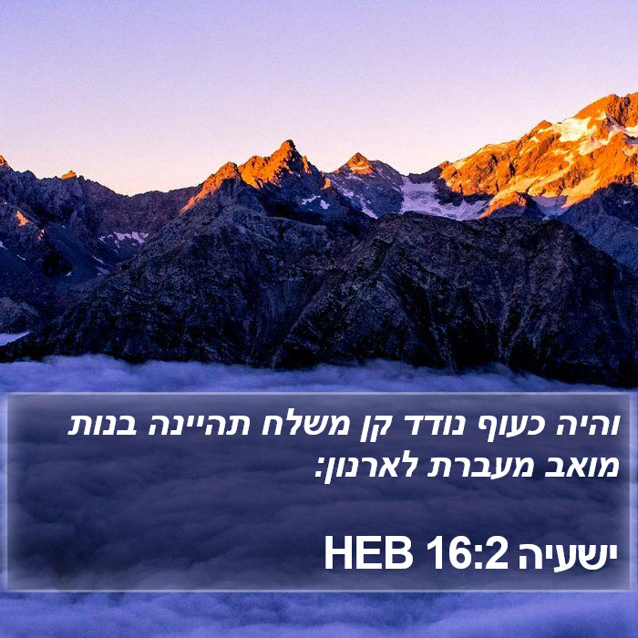 ישעיה 16:2 HEB Bible Study