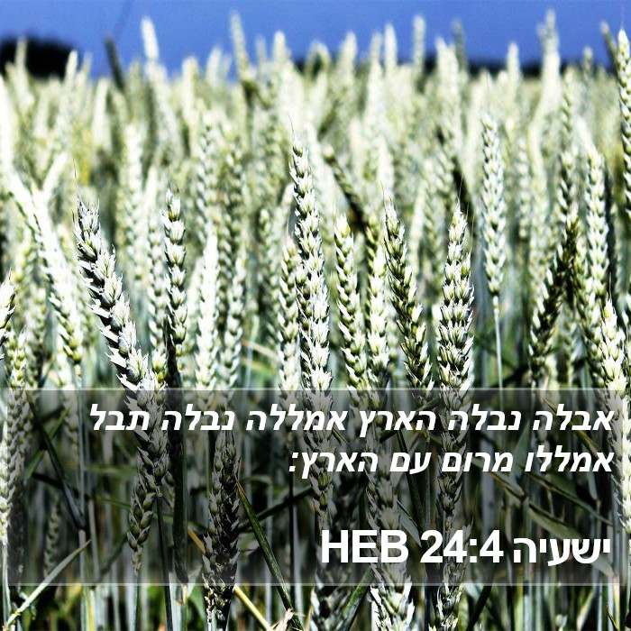 ישעיה 24:4 HEB Bible Study