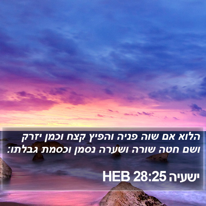 ישעיה 28:25 HEB Bible Study