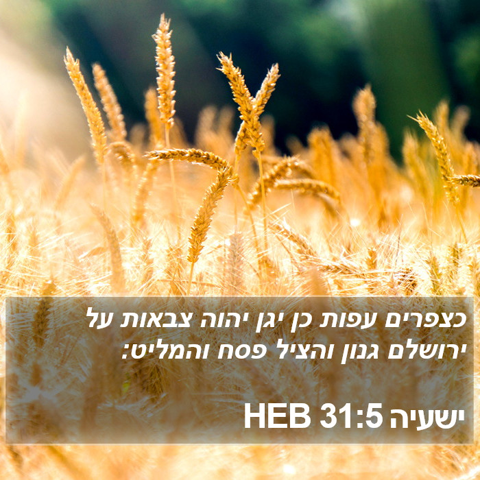 ישעיה 31:5 HEB Bible Study