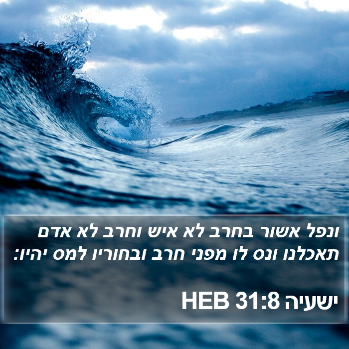 ישעיה 31:8 HEB Bible Study