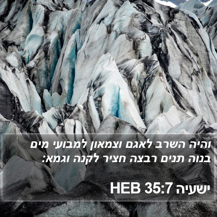 ישעיה 35:7 HEB Bible Study