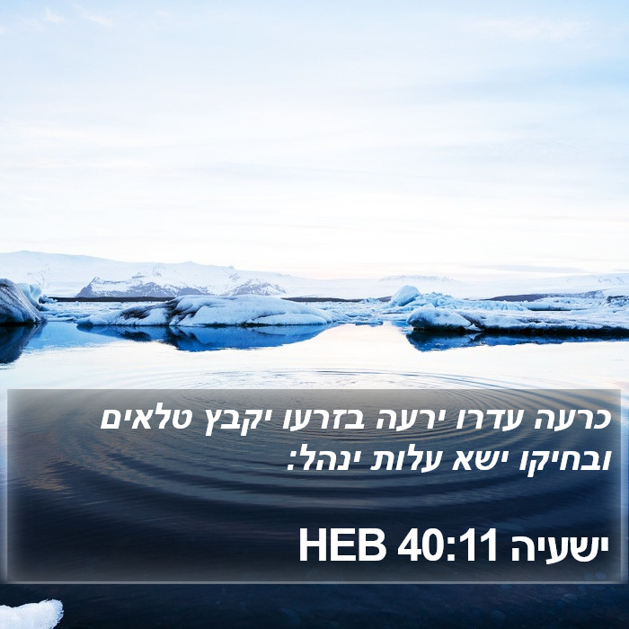 ישעיה 40:11 HEB Bible Study