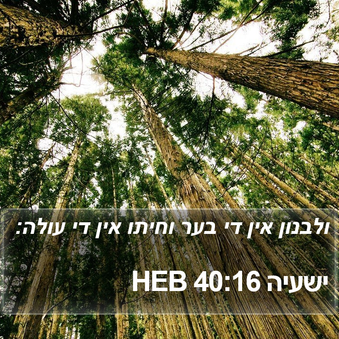 ישעיה 40:16 HEB Bible Study