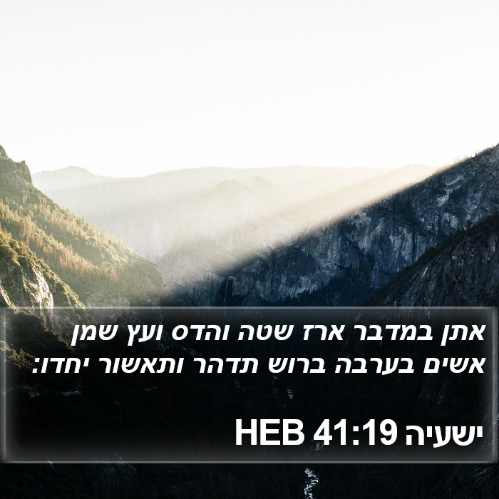 ישעיה 41:19 HEB Bible Study